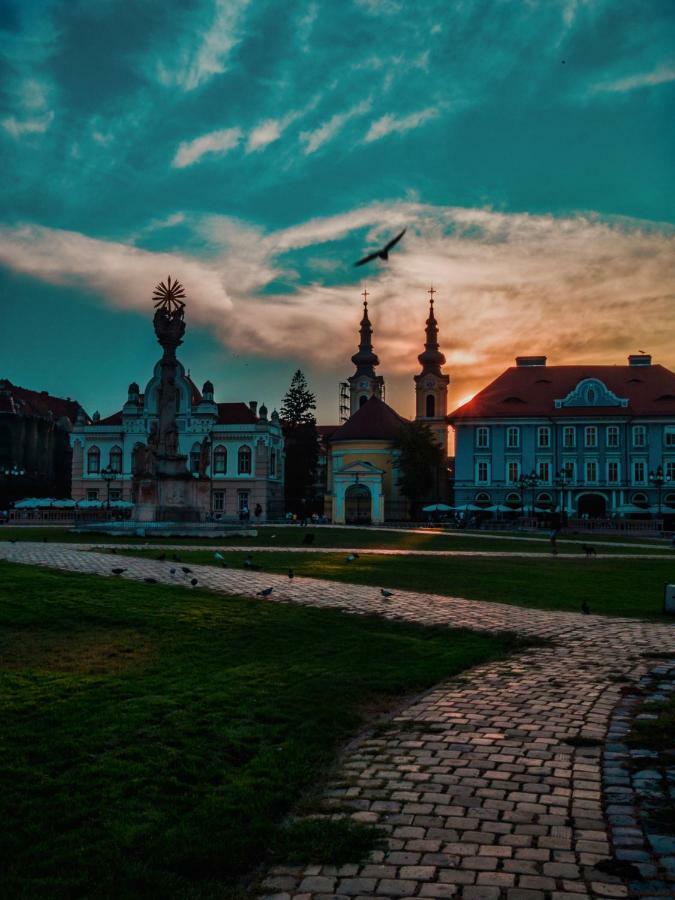 Business And Travel Central Apartment Timisoara Ngoại thất bức ảnh