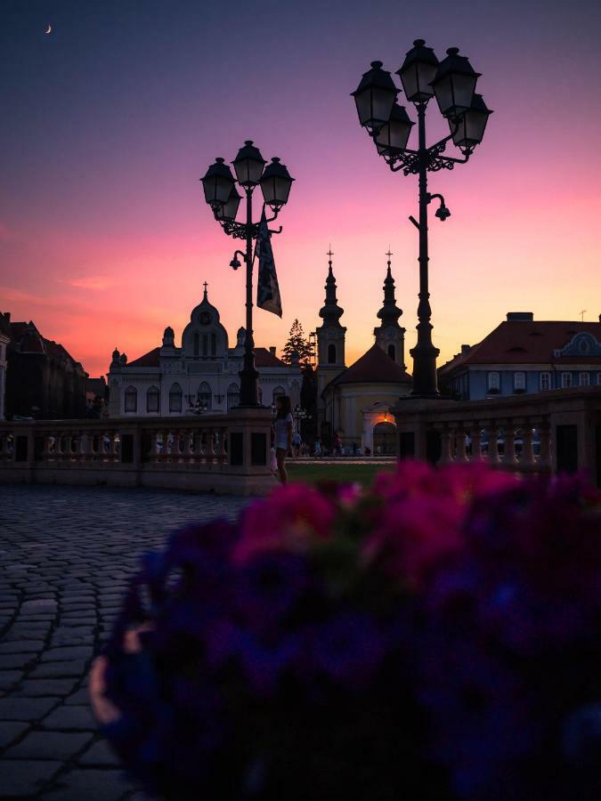 Business And Travel Central Apartment Timisoara Ngoại thất bức ảnh