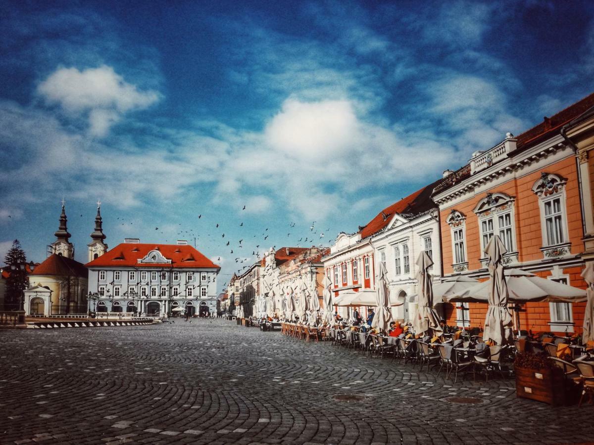 Business And Travel Central Apartment Timisoara Ngoại thất bức ảnh