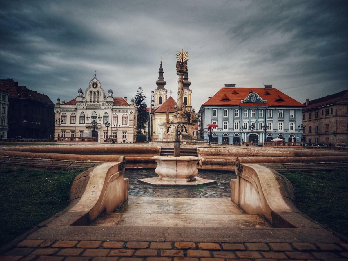 Business And Travel Central Apartment Timisoara Ngoại thất bức ảnh